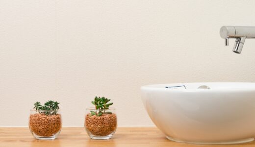 【裏話】トイレに絶対に置くべき金運最強の観葉植物